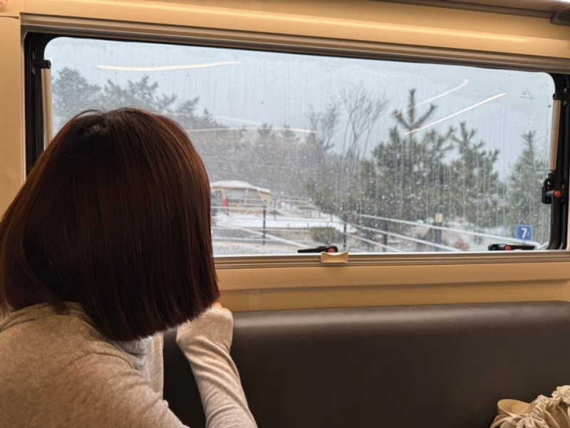 충남 애견동반캠핑은 신정호근처 아산 가델관광농원이 찐이야