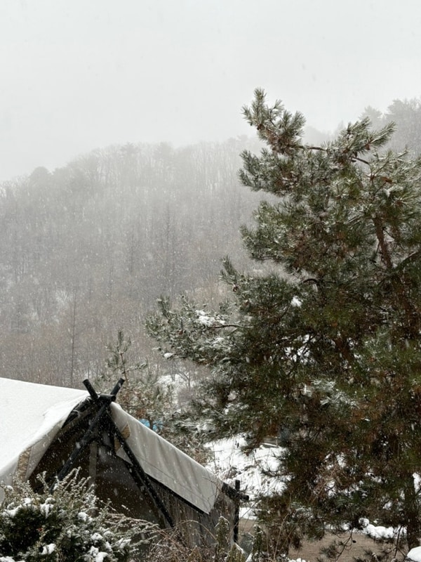 평창 코뿔소글램핑, 겨울 글램핑, 버터명란밥, 폭설 글램핑...
