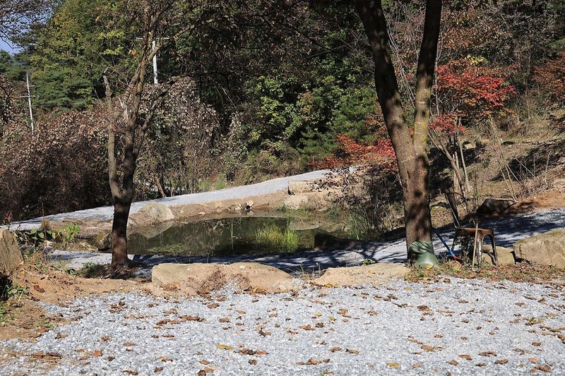 숲속행성 시설 사진 11