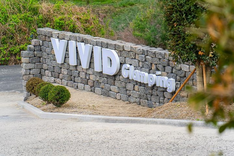 비비드 글램핑 대표 사진