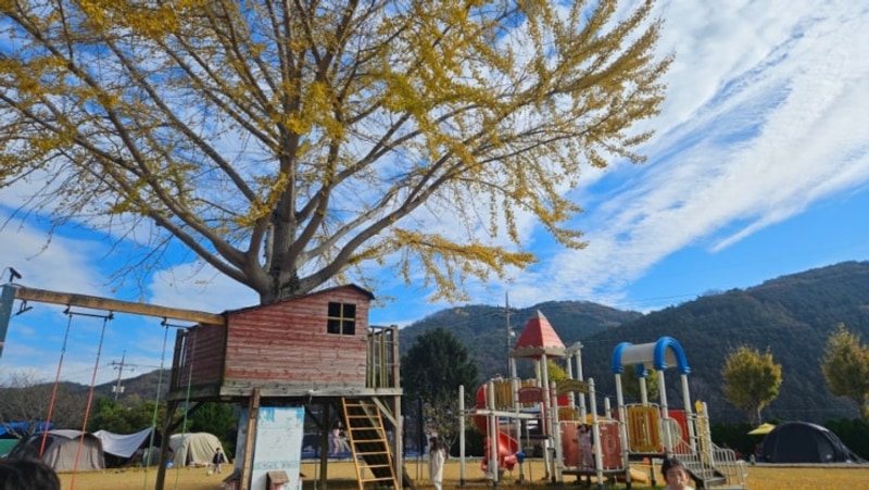 전남 장성 광주 근교 캠핑장 옛서당캠핑농원 게스트룸 키즈캠핑