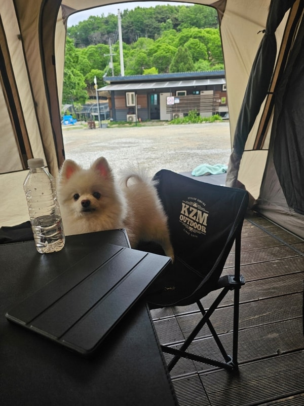 가재 잡는 계곡이 있는 수도권에서 가까운 강화 고려산 힐링캠프