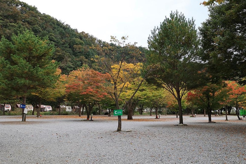 청정 캠핑장 시설 사진 3