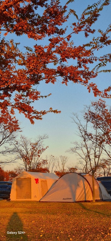 밀양아리랑오토캠핑장 124번사이트 (네이처하이크 12X 베젤M