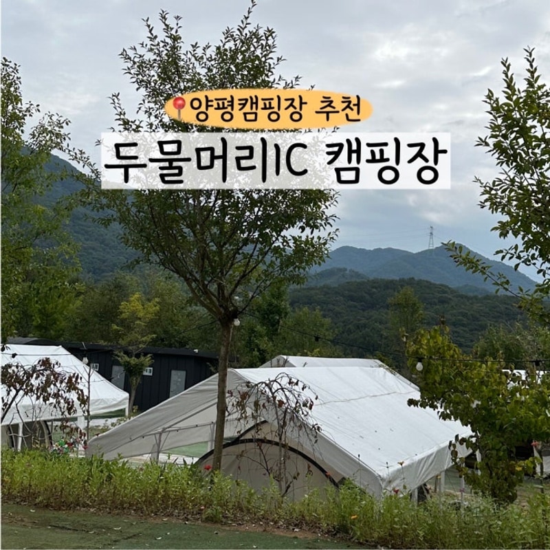 두물머리IC 캠핑장 후기｜서울근교 단체모임에 딱 좋은...