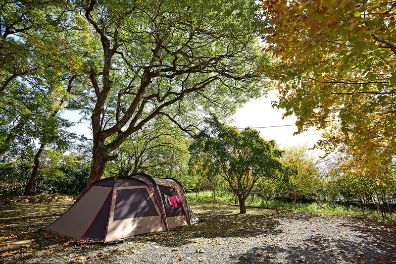 꾸러기 캠핑장 시설 사진 3