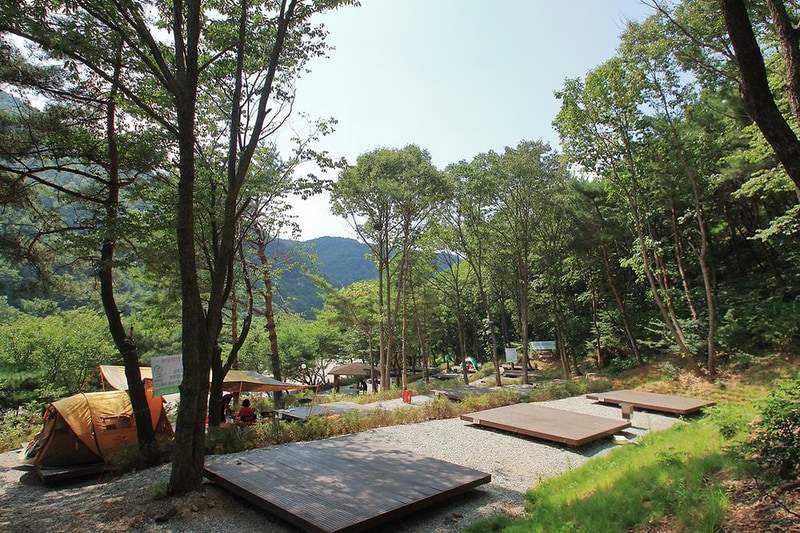 용현 자연휴양림 야영장 시설 사진 7