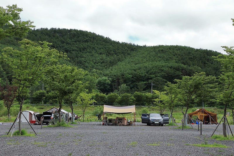 낙동강 레포츠밸리 강변오토캠핑장 시설 사진 4