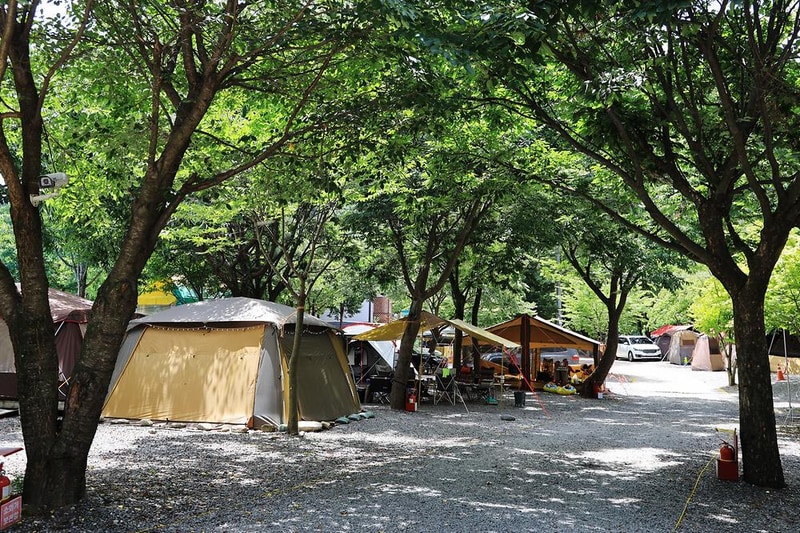 맑은물소리캠핑장 시설 사진 11