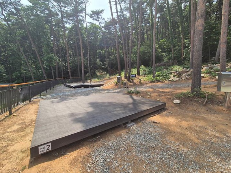 덕적도 자연휴양림 야영장 대표 사진