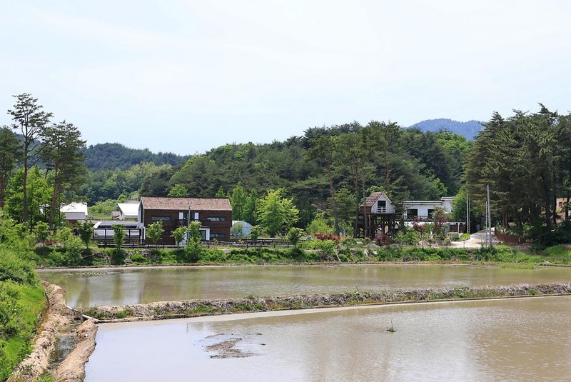 스테이NAMU(스테이나무) 시설 사진 23