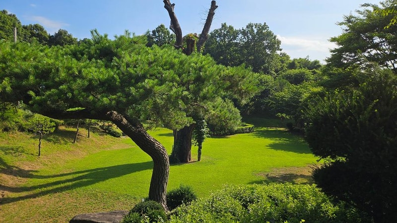 안태울캠핑장 시설 사진 4