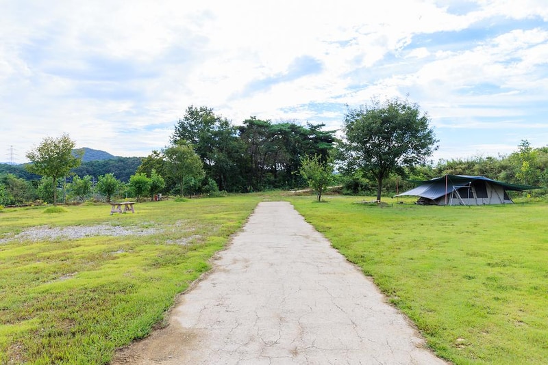 숲속의 관광농원 시설 사진 2