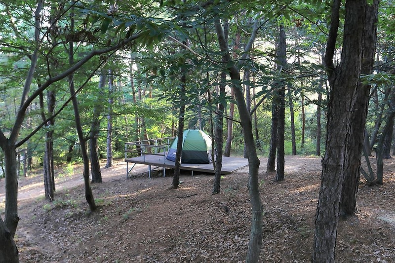 파인힐캠프 시설 사진 3