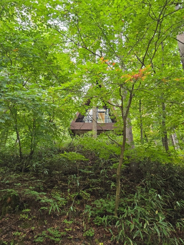 #태백고원자연휴양림 #야영장 #청령포 #선돌 #선암마을