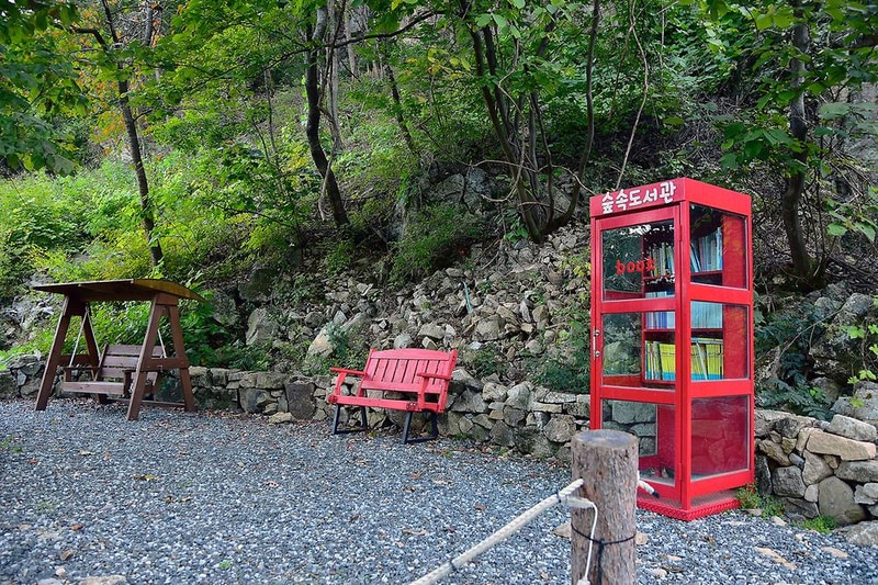 담터오지캠핑장 시설 사진 5