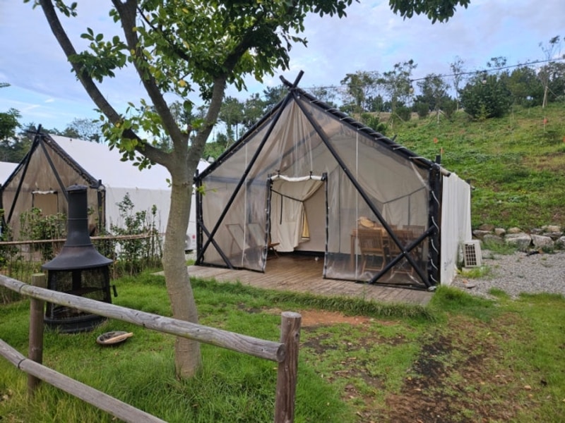 고창 상하농원 파머스글램핑(6번 백일홍)