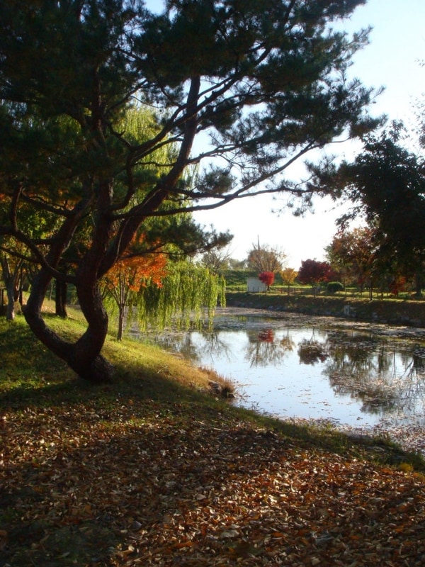 캠핑장 추천/ 서울근교 캠핑장 / 평택 소풍정원캠핑장 방문 후기