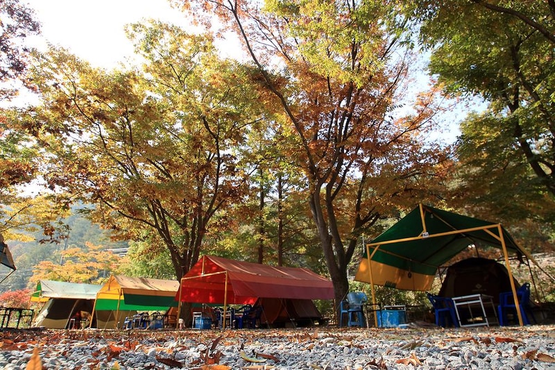 이지캠핑장 시설 사진 2