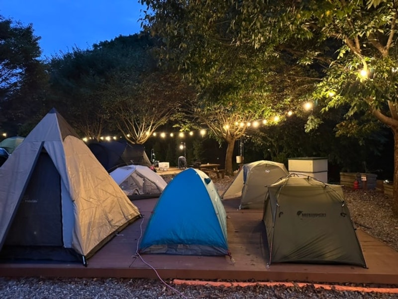 충북, 괴산) 1+5 가 된 캠핑 , 화양숲노리캠핑장