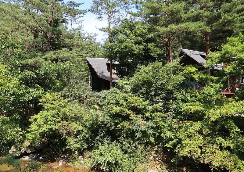 태백고원자연휴양림 자동차야영장 시설 사진 10