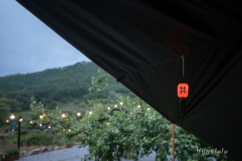 [캠핑일기11] 영주 사과꽃향기 아리수 : 개별화장실&샤워실...