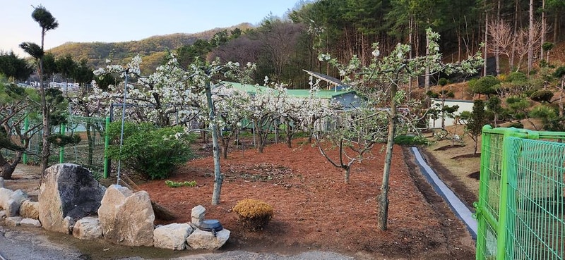 도전캠핑장 시설 사진 3