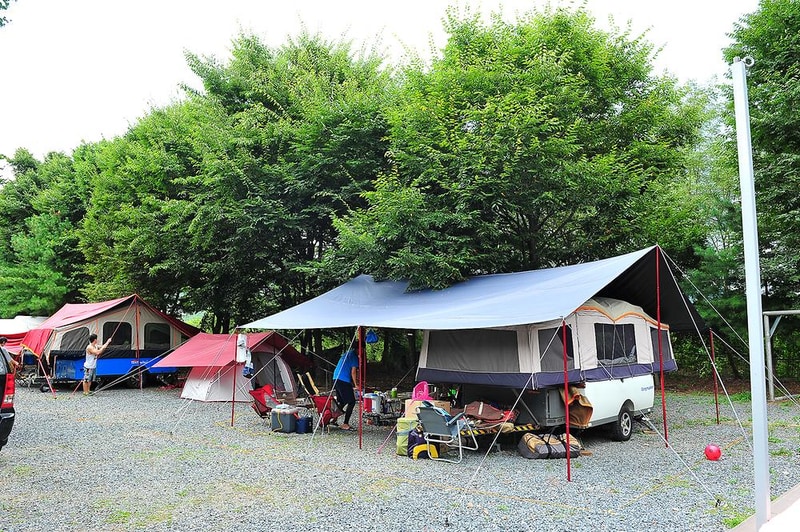 핫도그342애견글램핑카라반 주식회사 시설 사진 11