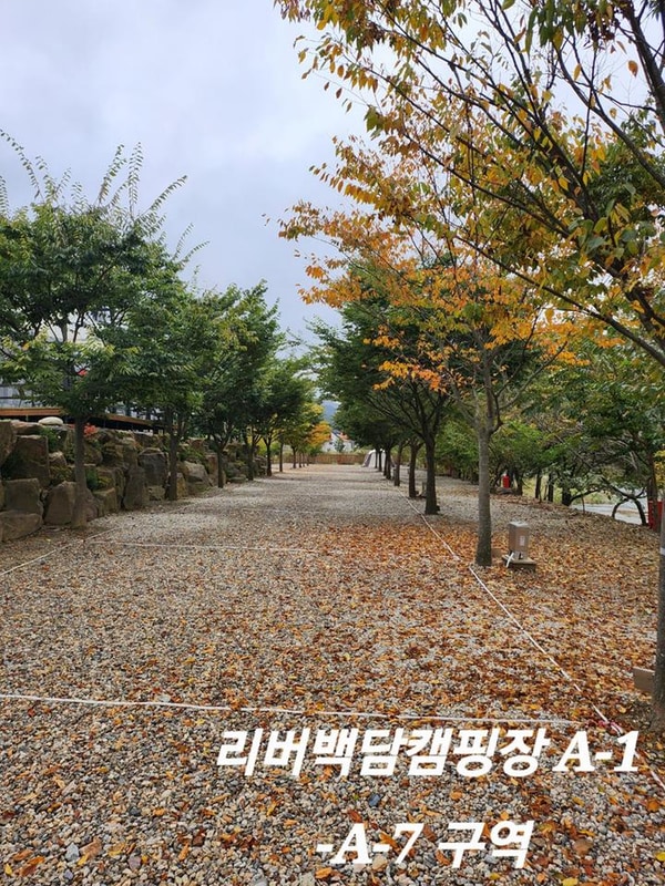 리버백담 캠핑장 대표 사진
