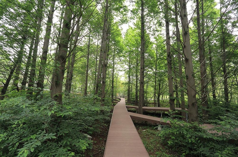 노꼬담꼬 시설 사진 31