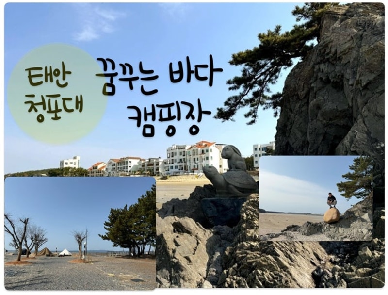 태안 청포대  *꿈꾸는바다 캠핑장*