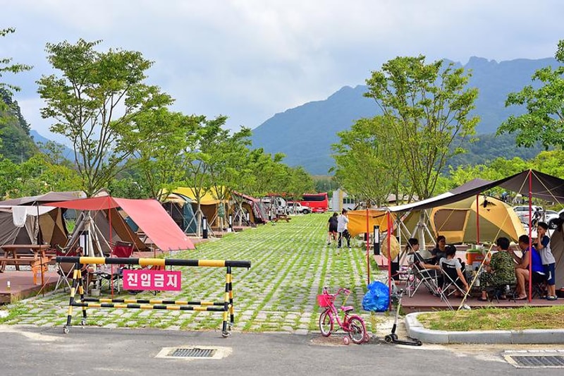 정읍시 내장산 국민여가캠핑장 대표 사진
