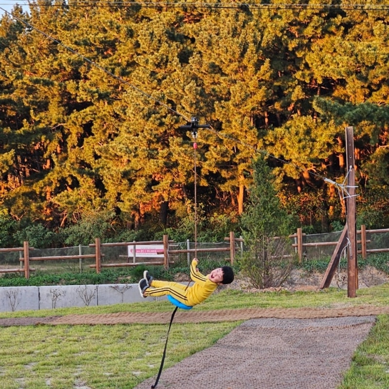 태안ㅡ신두리오렌지캠핑장