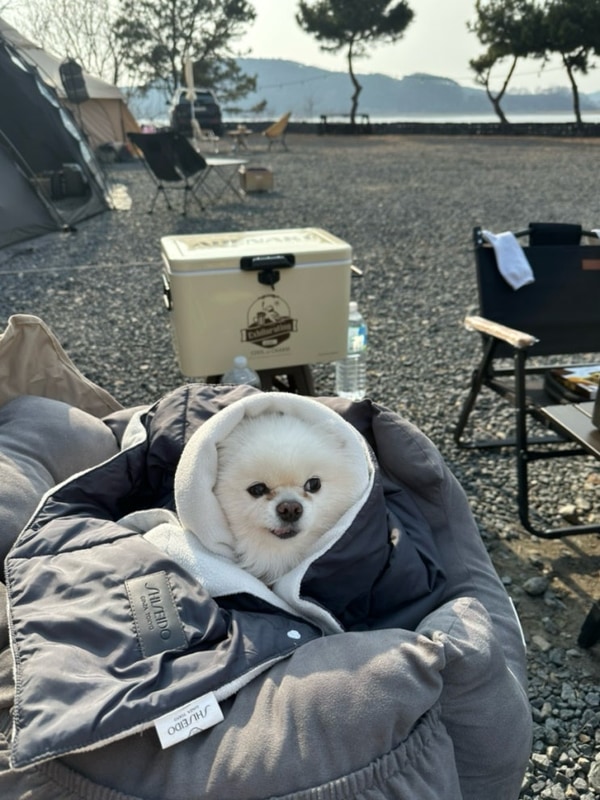 보령 캠프타임 온수풀 수영장 키즈 캠핑장