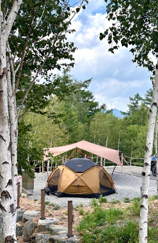 [2508 태백] 매봉산 천상의 숲 캠핑장 | 별이 쏟아지던...