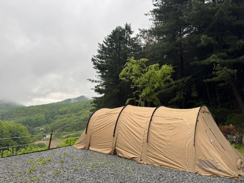 [애견동반캠핑장] 경기 애견동반가능 여주 구릉지캠핑장...