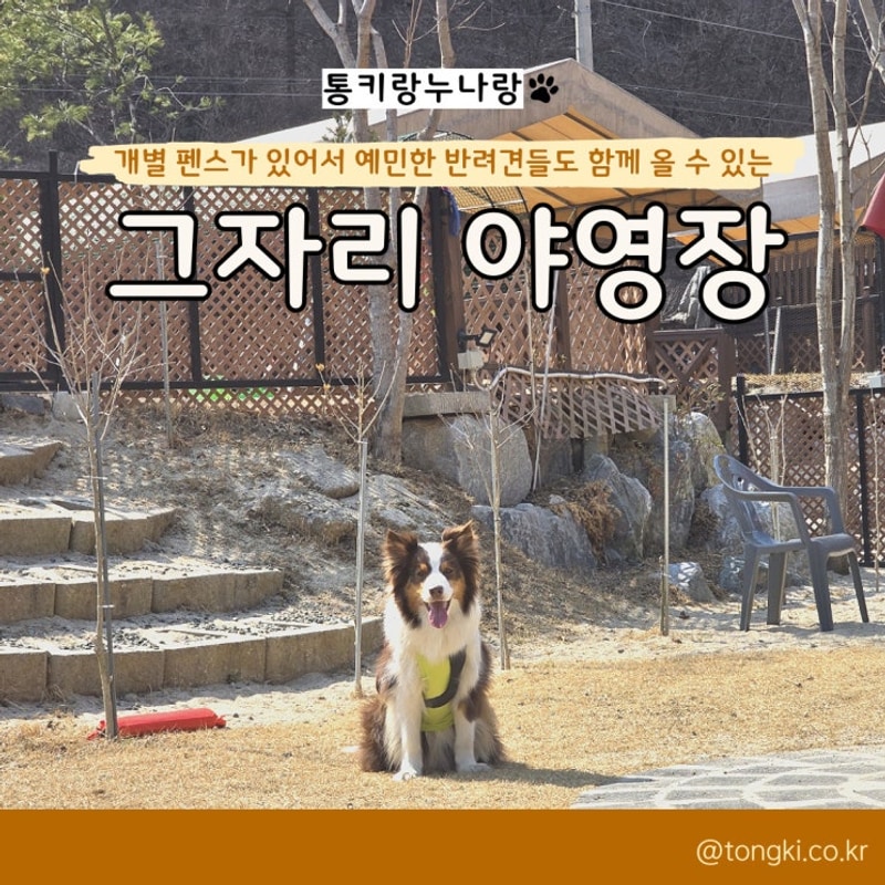 홍천 대형견 가능한 캠핑장 개별 펜스가 있는 그자리 야영장...