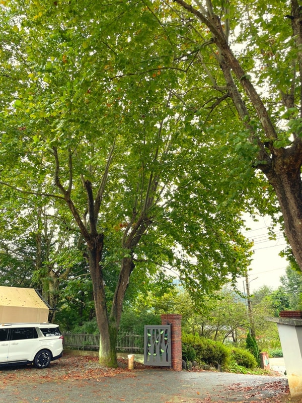 <방문후기> 공주 북캠프 글램핑장 다녀옴 솔직후기