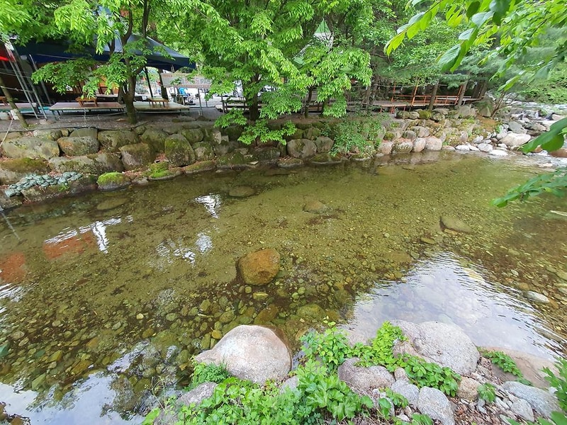 단양 천동계곡 캠핑장 그린농원 시설 사진 35