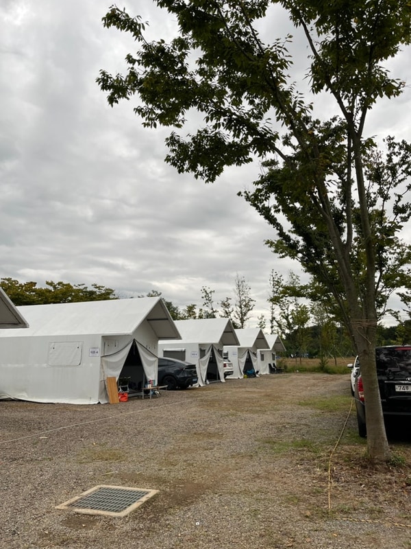 태안 신두57캠핑장 D구역 타프존 팽나무존 후기