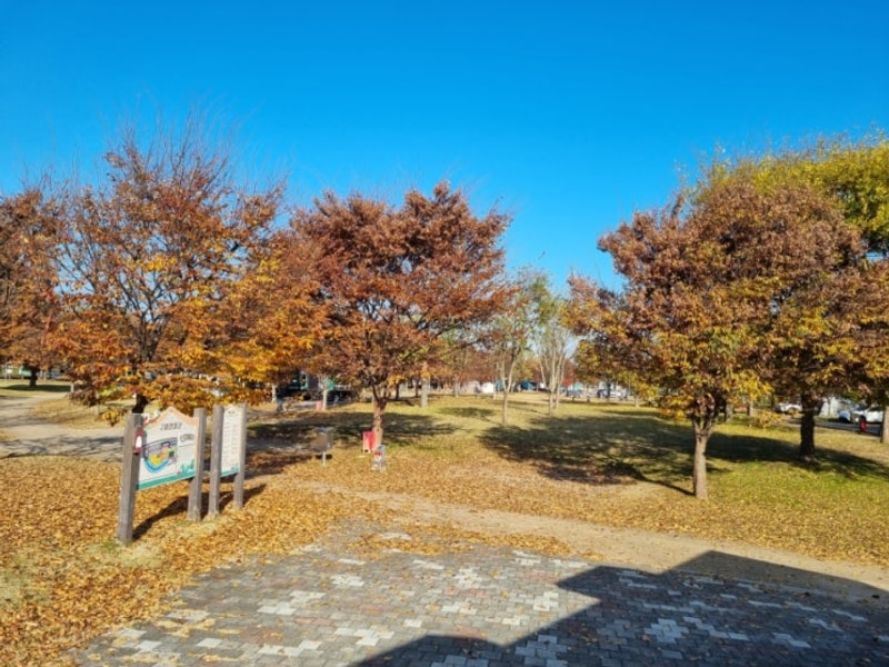 구미캠핑장 25년11월16일