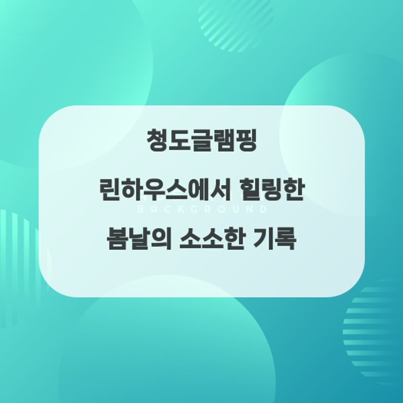 청도글램핑 린하우스에서 힐링한 봄날의 소소한 기록