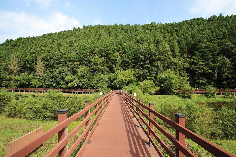 인삼골오토캠핑장 시설 사진 10