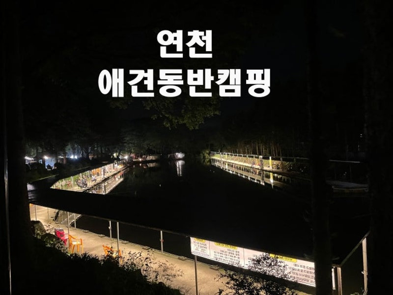 캠핑과 낚시를 함께, 연천애견동반캠핑장 연몽캠핑장[내돈내산]