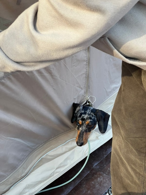 가을 캠핑 일상 (자작자작 캠핑장, 횡성 캠핑장, 오아시스...