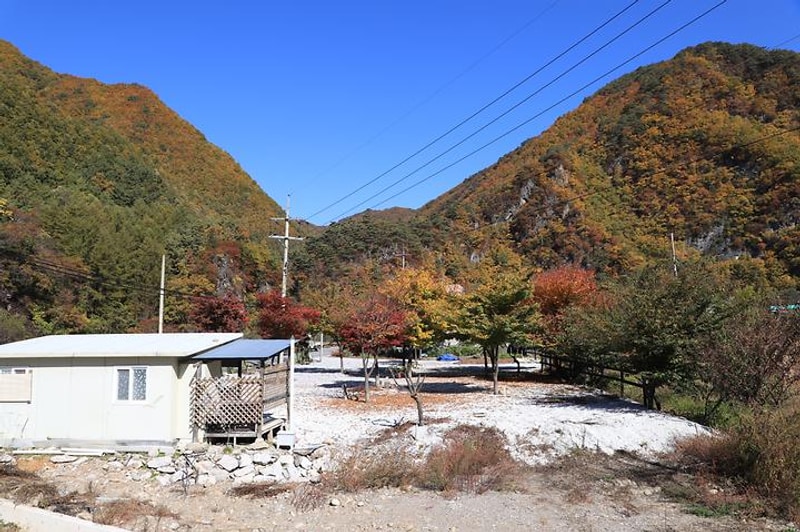 러브팩토리펜션캠핑장 대표 사진