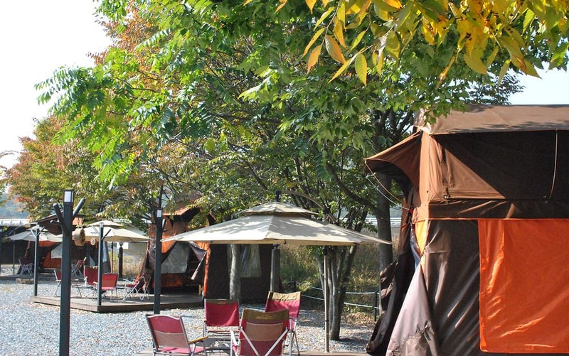 아날로거 무릉도원점 시설 사진 10