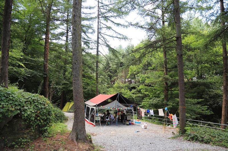 피노키오 자연휴양림 야영장 시설 사진 11