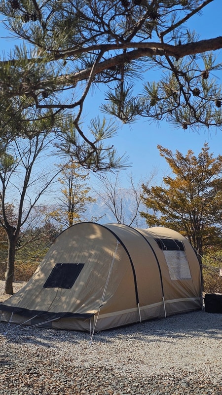 철원 가산농원 캠핑장, 성환식당 오징어물회