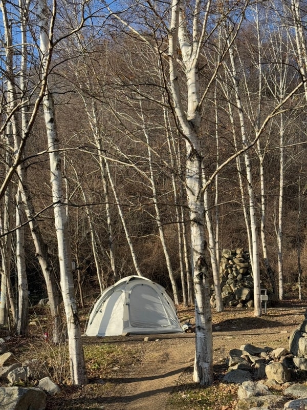 인제 온천캠핑장 오아시스정글 FV사이트 후기